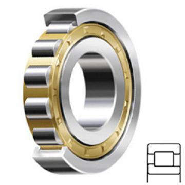 SCHAEFFLER GROUP USA INC NJ206-E-M1A-C3 Rolamentos de rolos cilíndricos