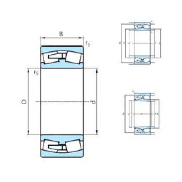 Rolando 24056CW33MB PSL