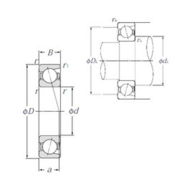 Rolando 7314 NTN