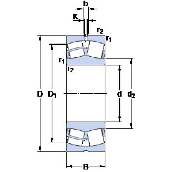 Rolando 24036 CC/W33 SKF #1 image