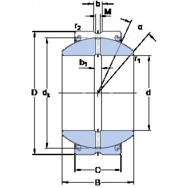 Rolando GEZH 200 ESX-2LS SKF #1 image